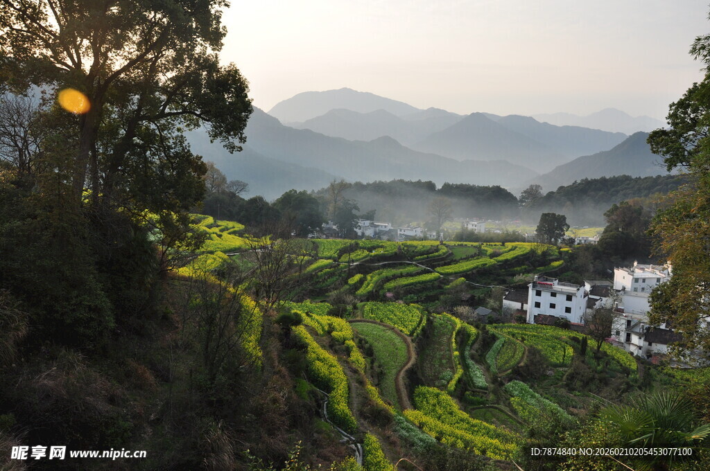 婺源山间梯田晨曦美景