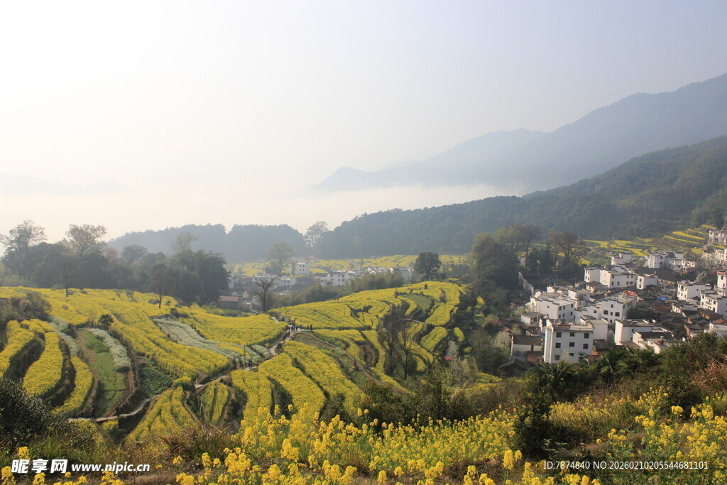 婺源山间梯田花海村落美景