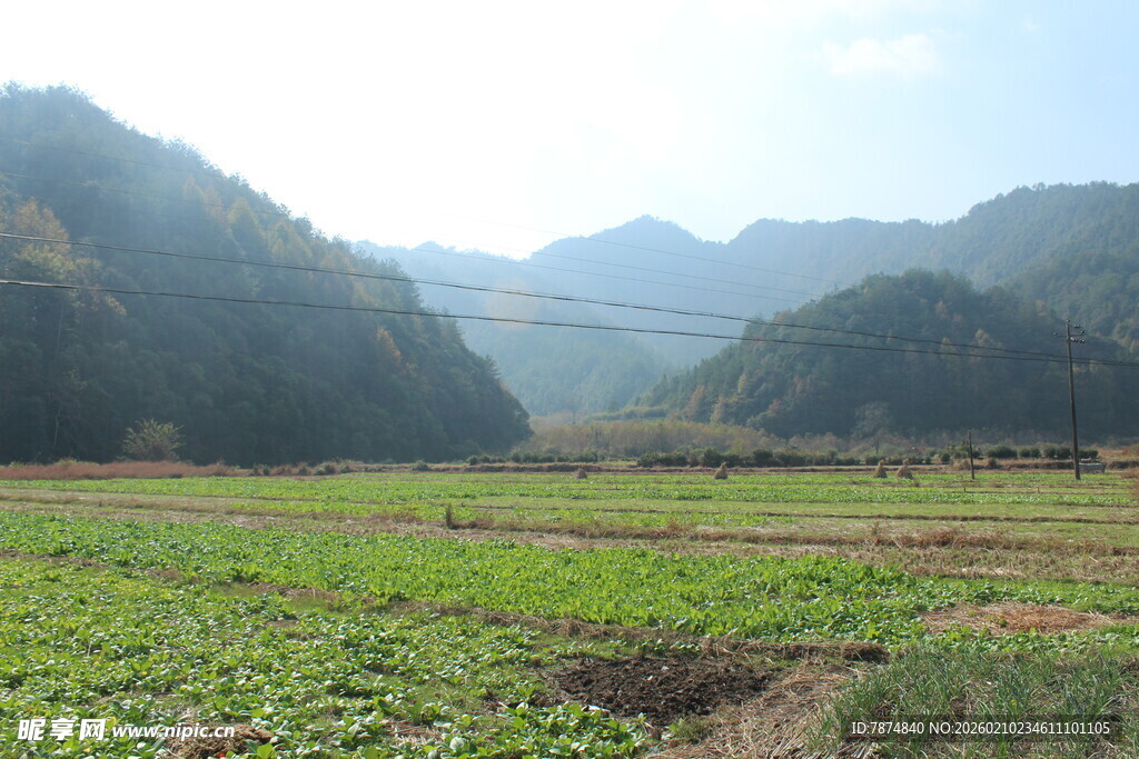 婺源田园山野风光