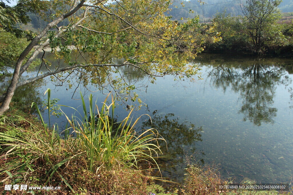 婺源宁静湖畔自然风光