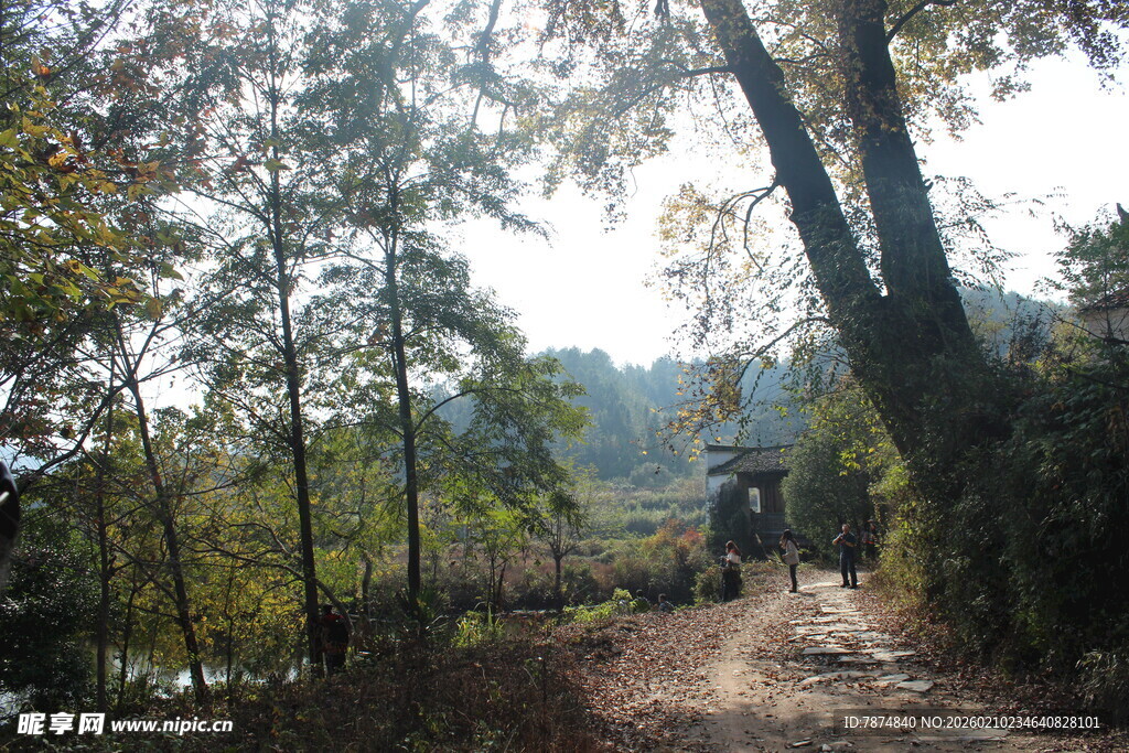 婺源林间徒步小道 静谧美景