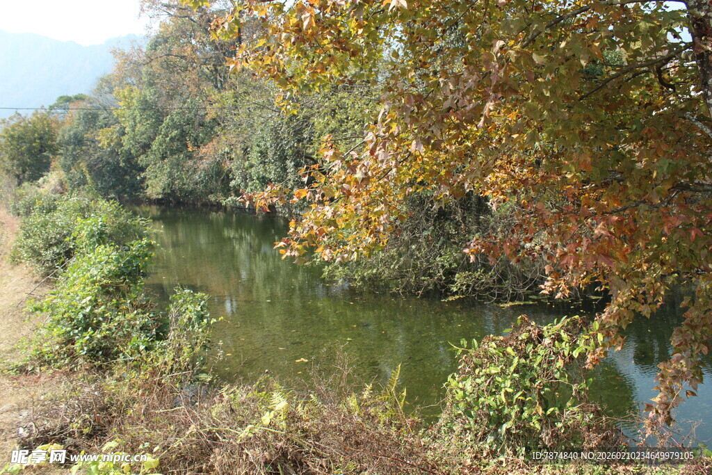 婺源秋日河畔风景