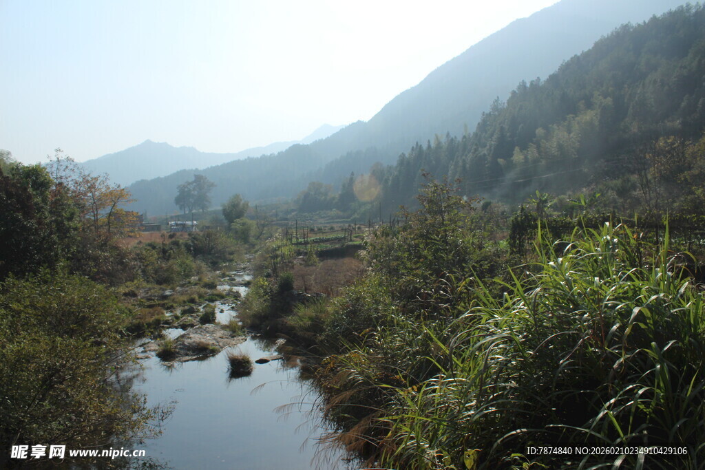 婺源山间溪流 绿意盎然的景致