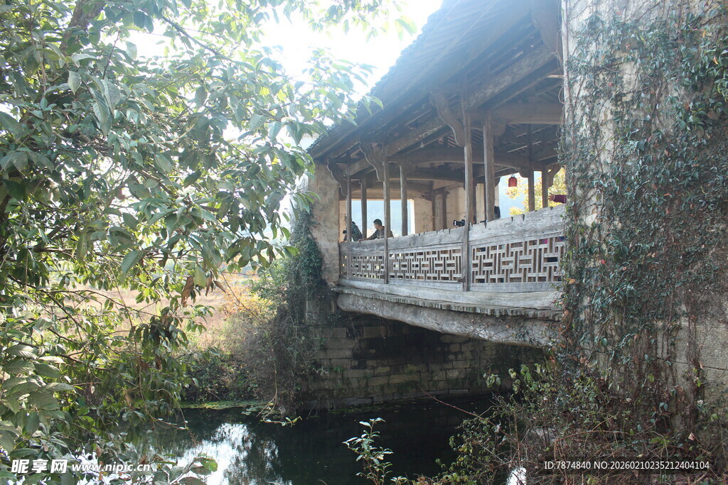 婺源林间木桥小屋 静谧景致