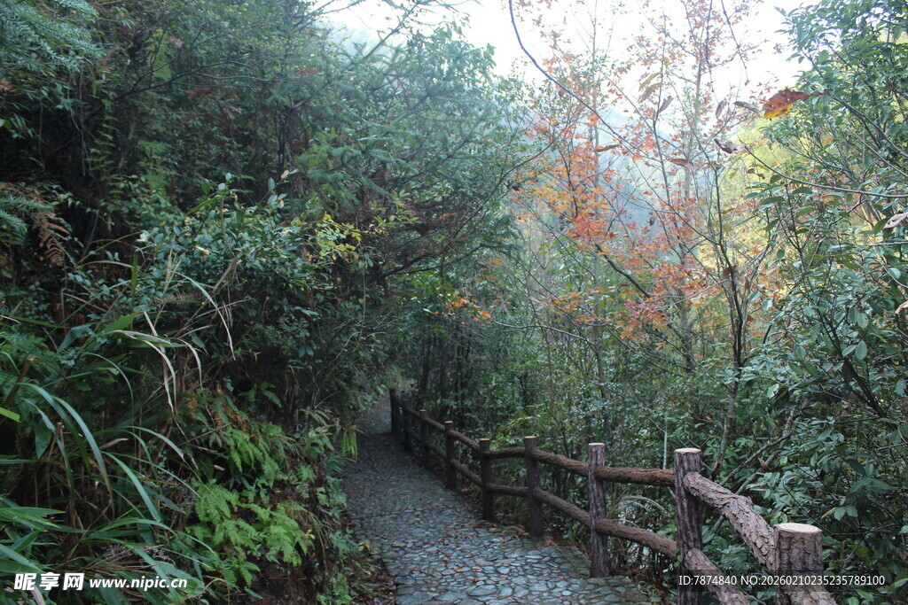 婺源山间幽径 邂逅自然之美
