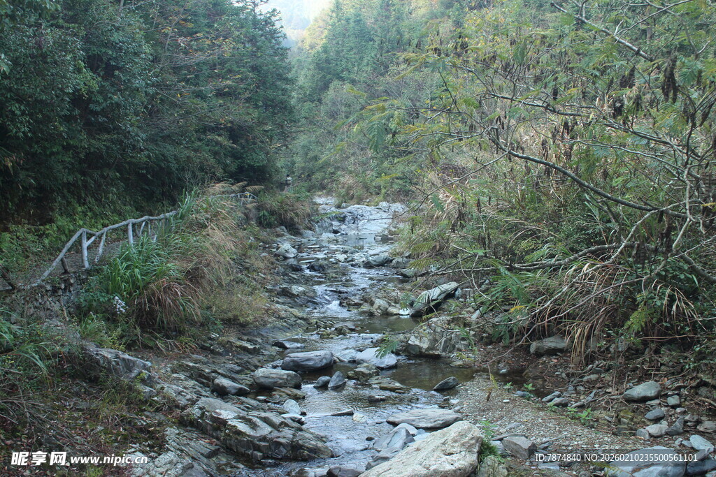 婺源山间溪流 自然野趣之景