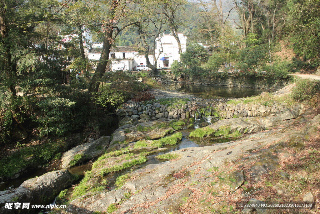 婺源林间溪流畔的自然景致