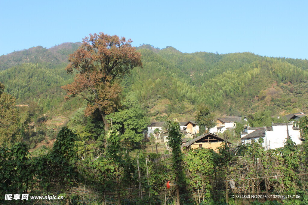婺源山间村落景致