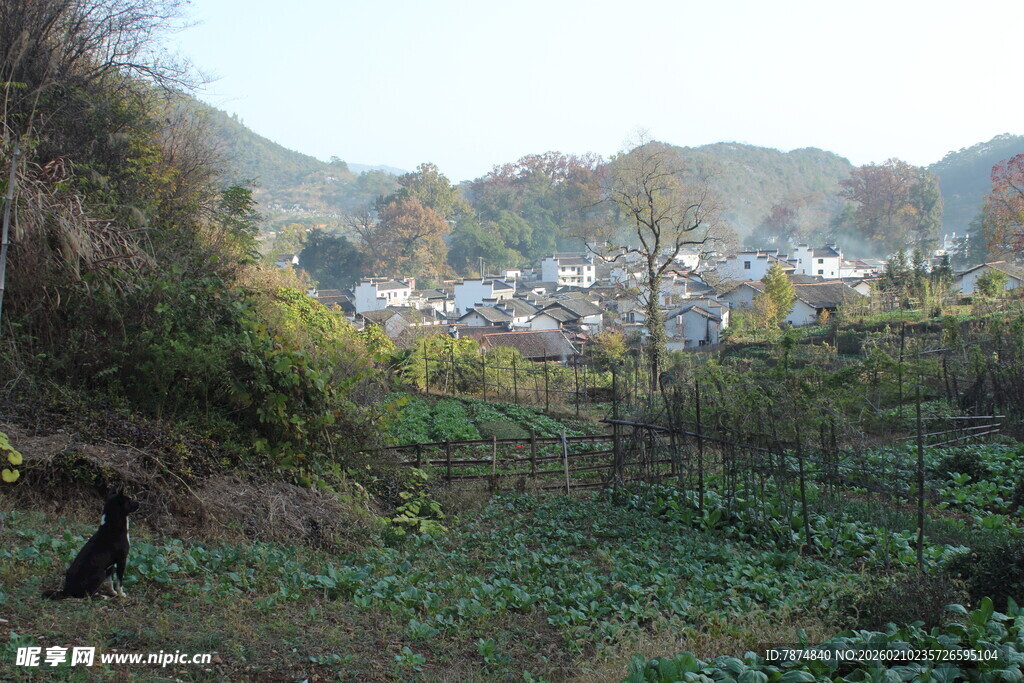 婺源乡村田园风光景色