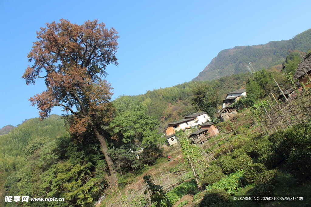 婺源山间村落风景
