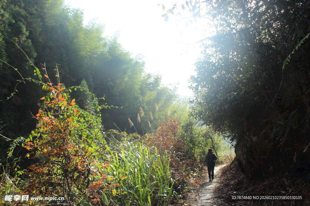 婺源林间小径上的徒步者