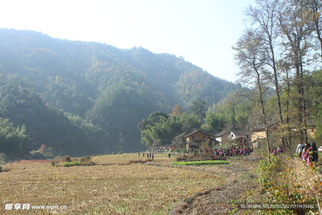 婺源秋日山间田野劳作景象
