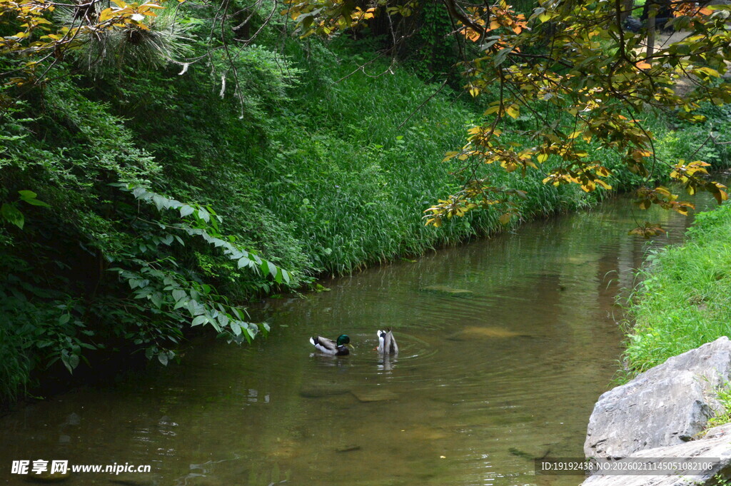 公园风景 
