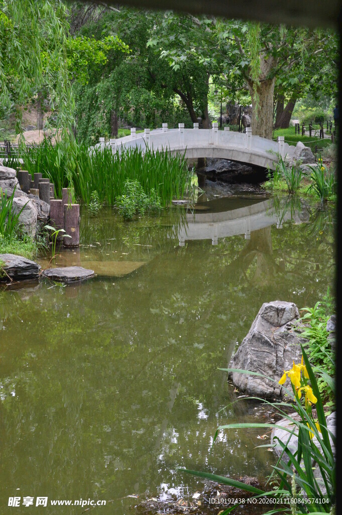 公园风景