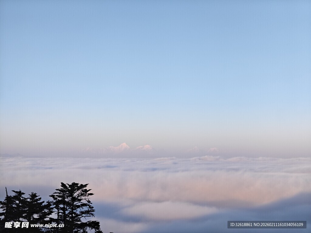 泰山云海之上的树梢美景