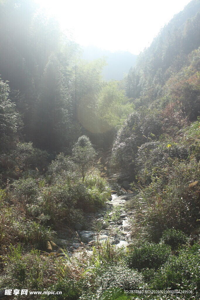 婺源山间溪流穿林而过