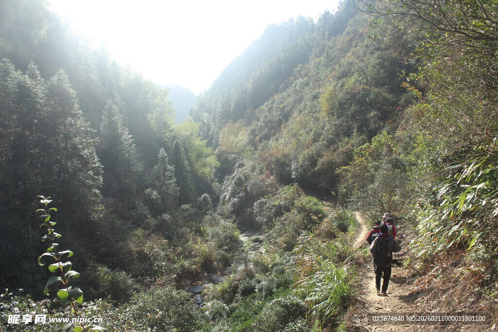 婺源山间徒步者穿行茂密丛林