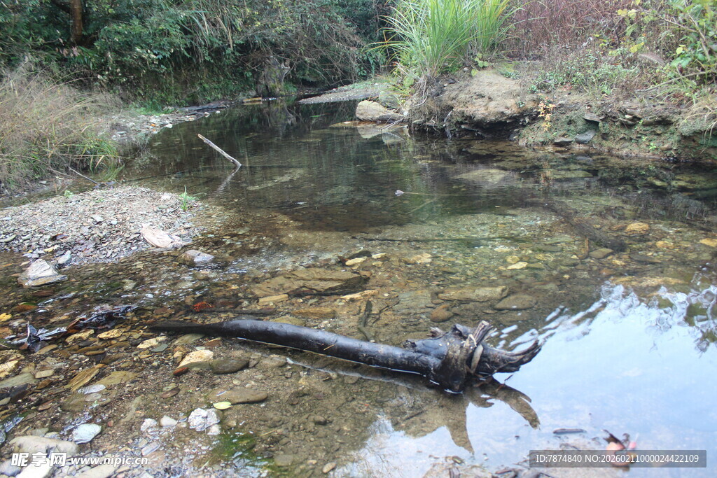 婺源溪边枯木与自然景致