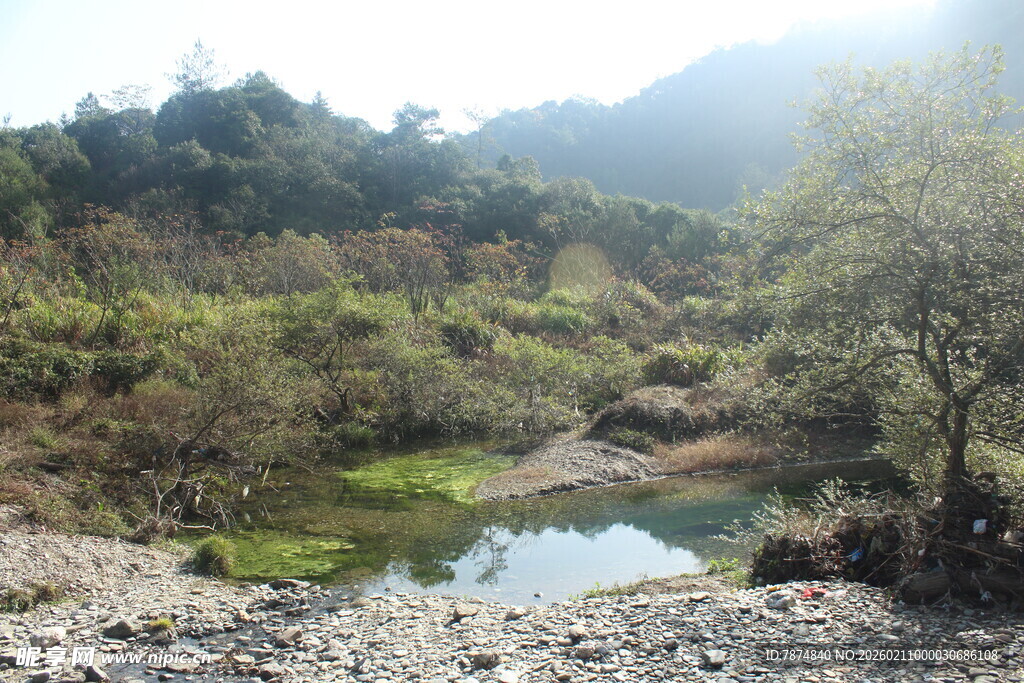 婺源山间清澈小溪与葱郁植被