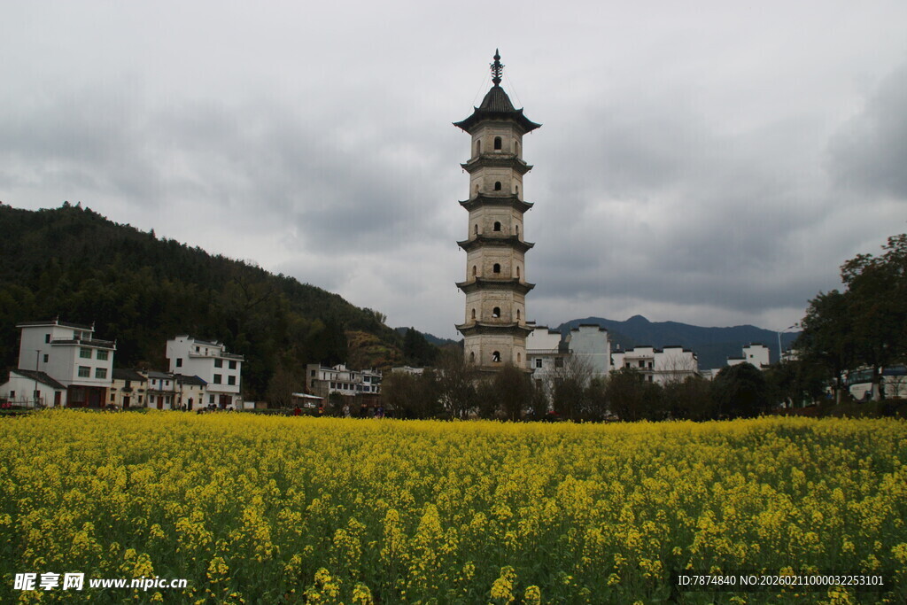 婺源花海中的古塔