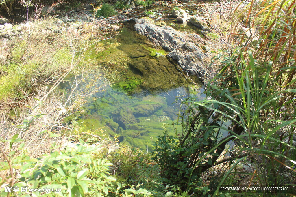 婺源山间清澈小水塘及周边植物