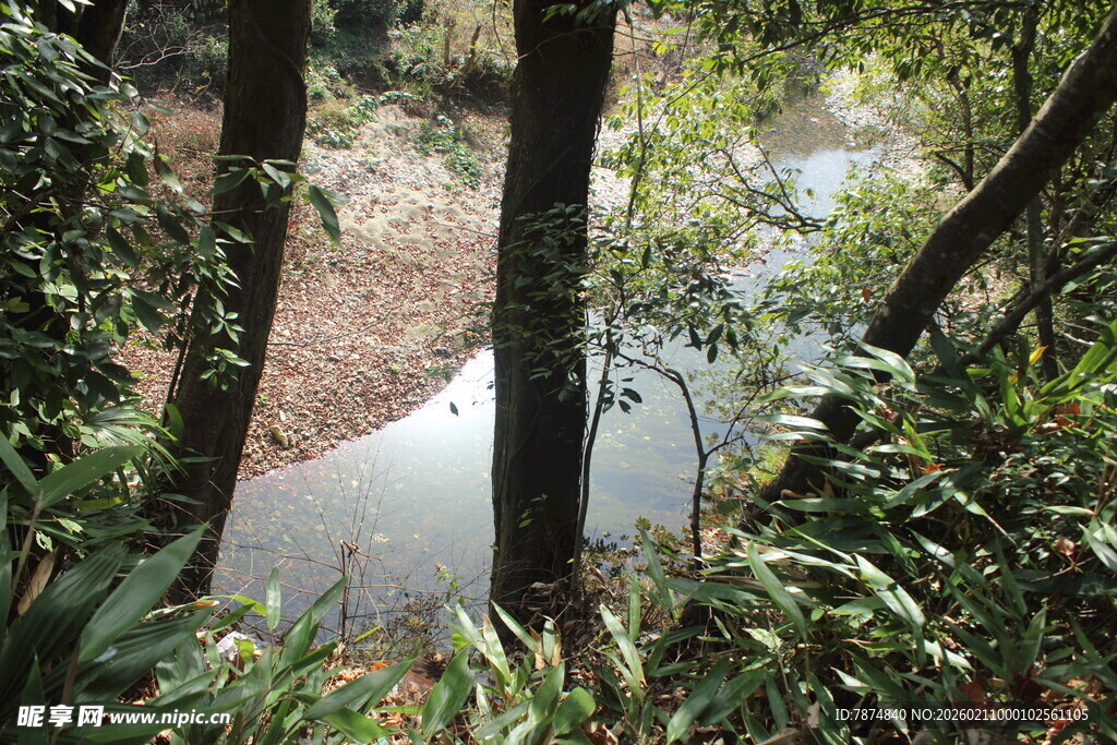 婺源林间静谧水塘