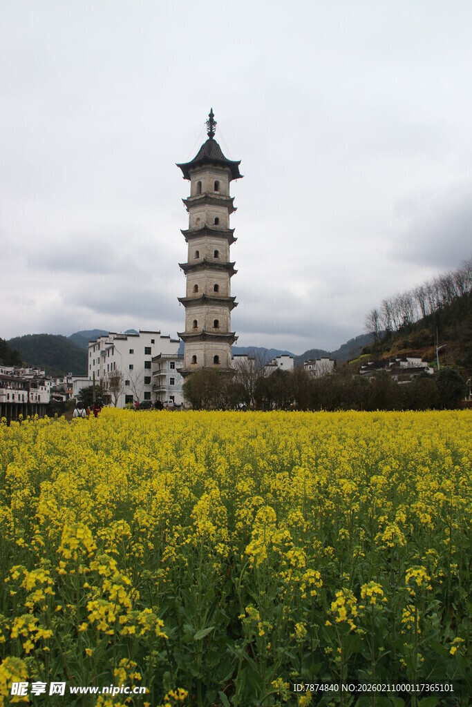 婺源油菜花海中的古塔