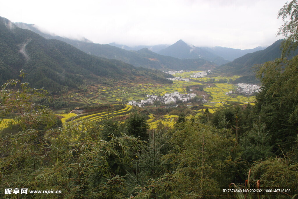 婺源山间村落 绿野环绕之景