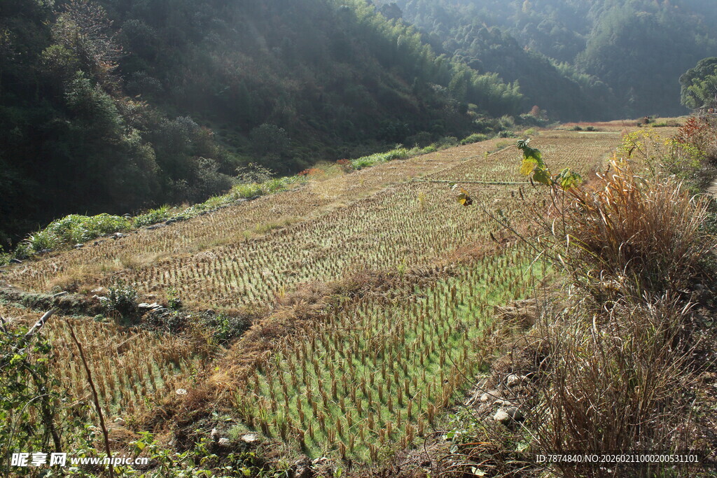 婺源山间田野风光