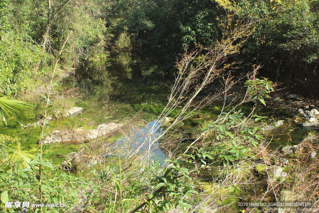 婺源山林间的自然溪流景观
