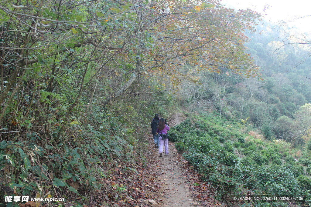 婺源山林间的徒步者