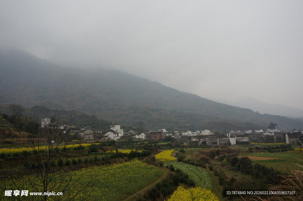 婺源雾中乡村田园美景