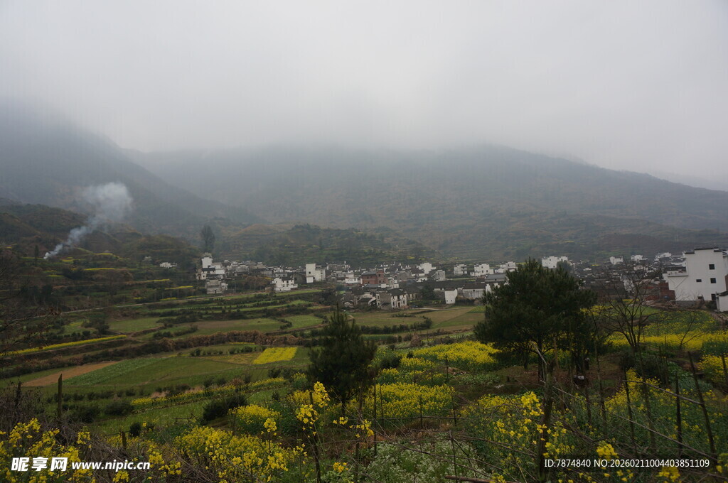 婺源雾中乡村田园美景