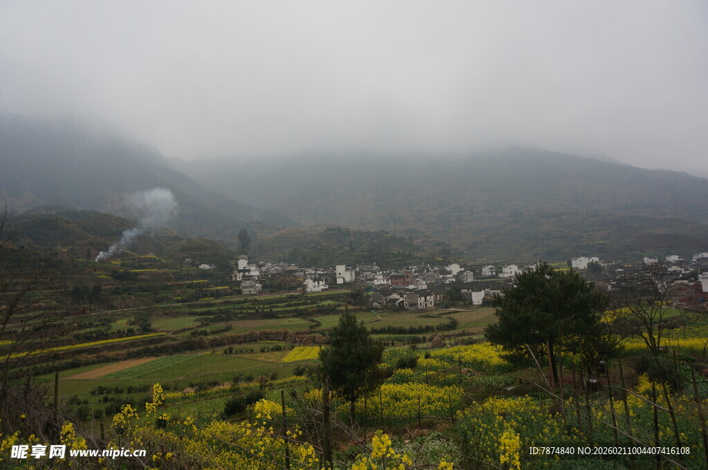 婺源雾中乡村田园美景