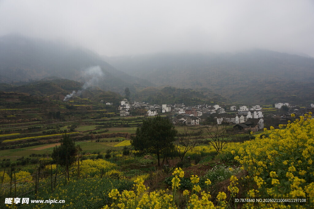 婺源雾中梯田村落与金黄花海