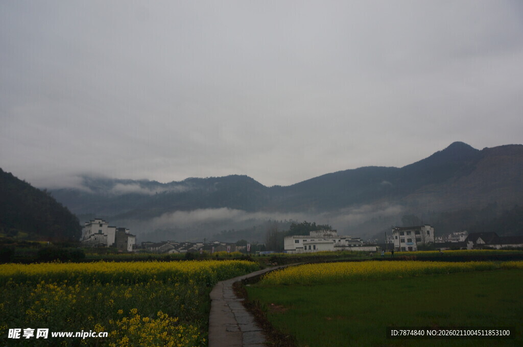 婺源山间小径旁的油菜花海