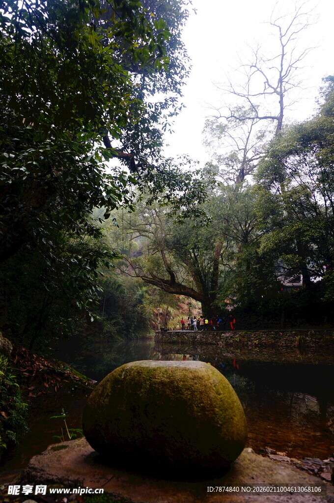 婺源林间巨石 静享自然野趣