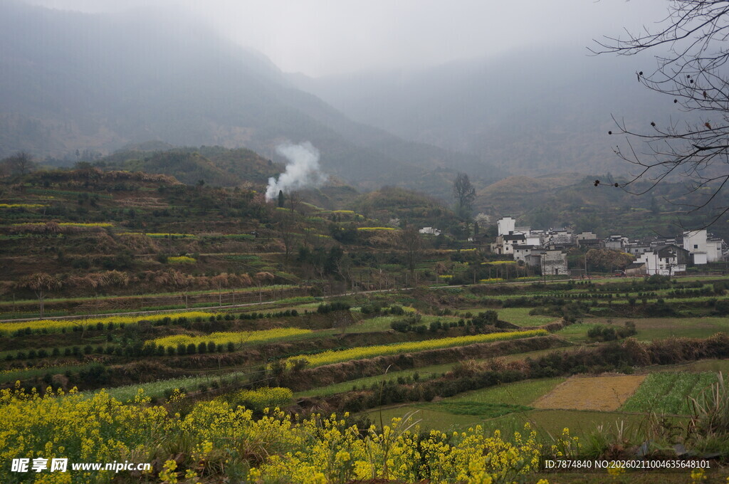 婺源雾中梯田乡村美景