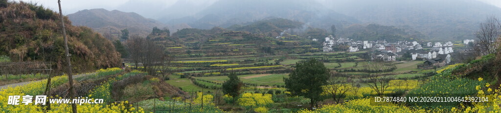 婺源山间绿野风光