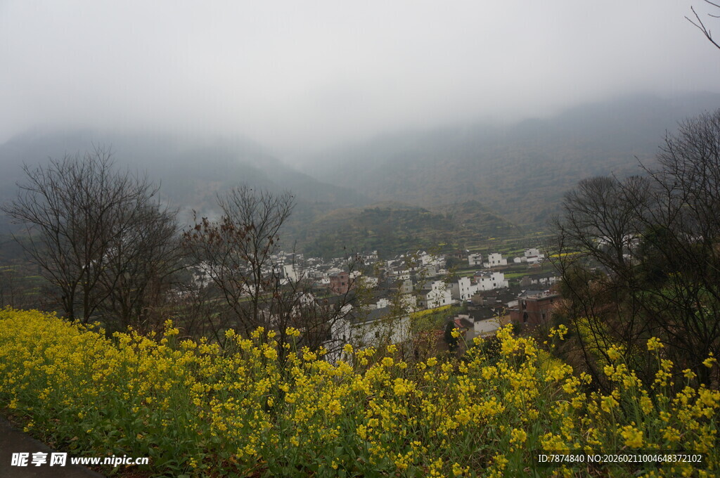 婺源雾中花海下的静谧村落