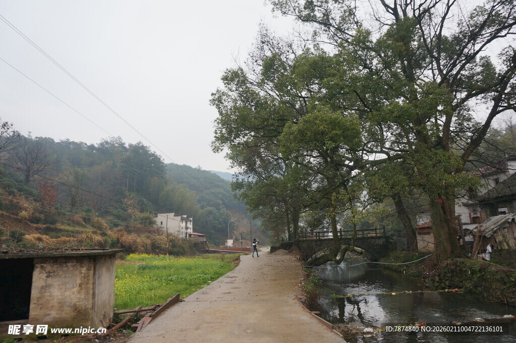 婺源乡村小道旁的自然景致