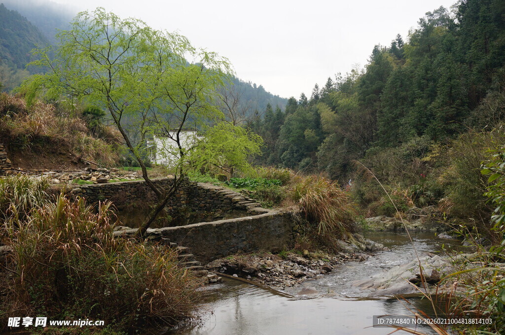 婺源山间溪流旁的静谧景致