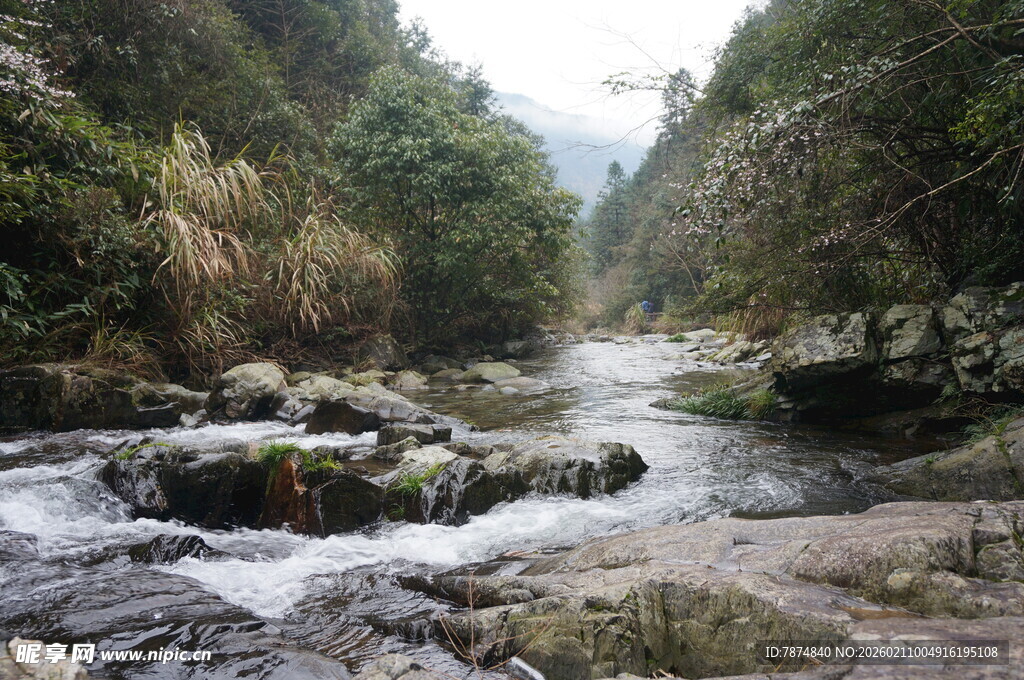婺源山间溪流潺潺 自然美景