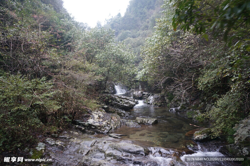 婺源山间溪流丛林美景