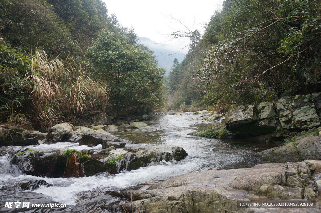 婺源山间溪流潺潺 绿意盎然