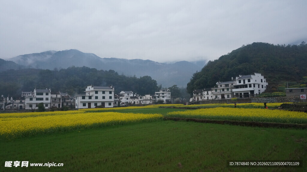 婺源田园风光中的村落与花海