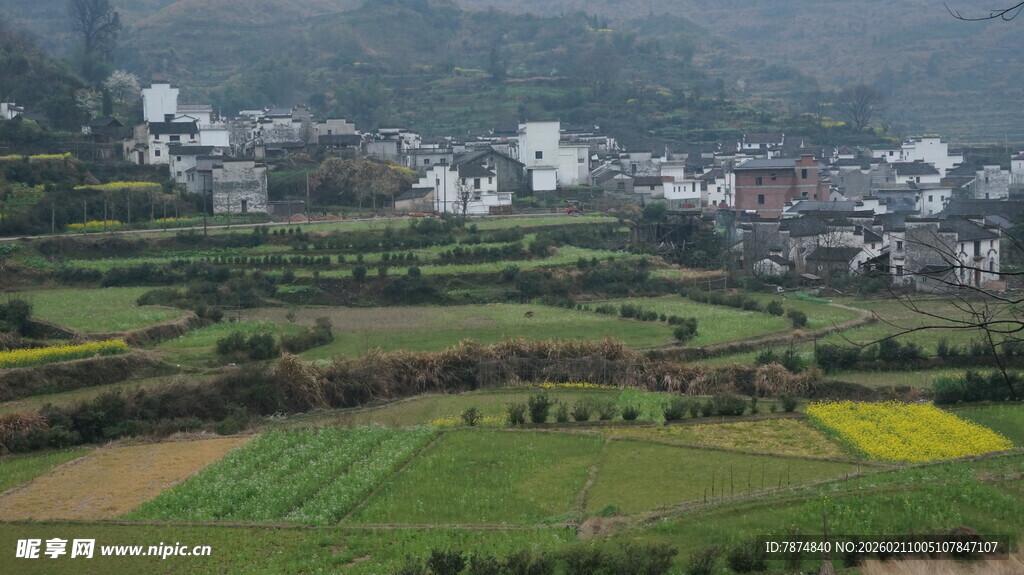 婺源田园山村美景