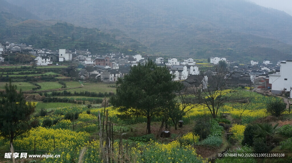 婺源山村春日田园美景