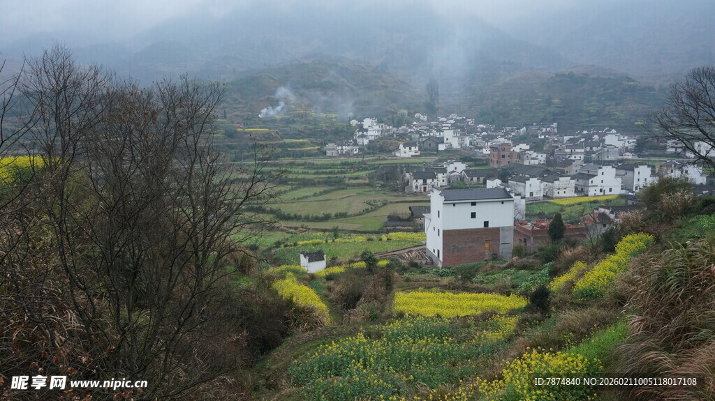 婺源山间村落春色