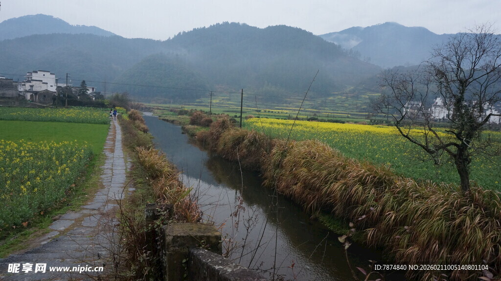 婺源乡村田园间的蜿蜒小河